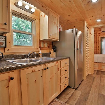 River Cabin Hot Tub & Swim Spa Near Downtown Chattanooga Dış mekan fotoğraf